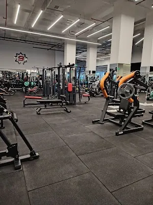 9 Stars GYM - İstanbul Esenyurt