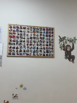 AKRAN HAREKET VE CİMNASTİK MERKEZİ (EYÜPSULTAN) - İstanbul Eyüpsultan