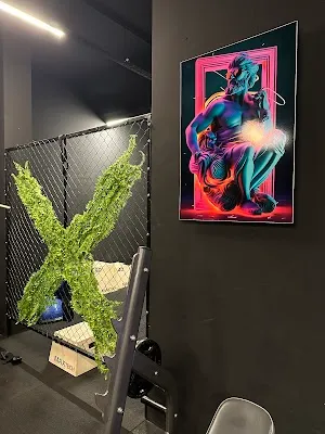 ALFA ONE GYM SPOR SALONU - İstanbul Beylikdüzü