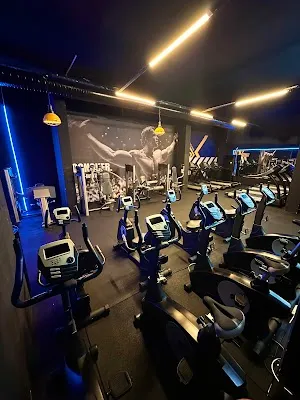 ALFA ONE PRO FİTNESS SPOR SALONU - İstanbul Beylikdüzü