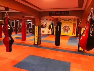 ALP KINDO SPOR KULÜBÜ - İstanbul Şişli