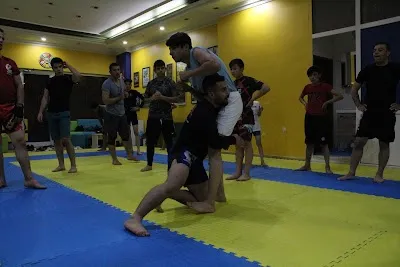 Ankara MMA Kursu - Ankara Çankaya