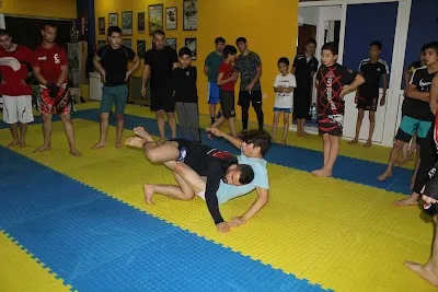 Ankara MMA Kursu - Ankara Çankaya