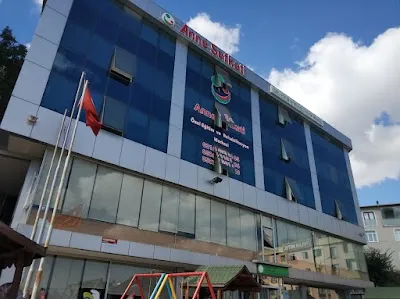 Anne Sefkati Ozel Ogretim Kurumlari - İstanbul Pendik