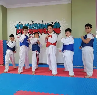 Aras Spor Kulübü Taekwondo - İstanbul Sultangazi