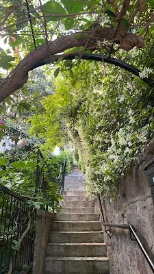 Aslı Başar Yoga Okulu - İzmir Bornova