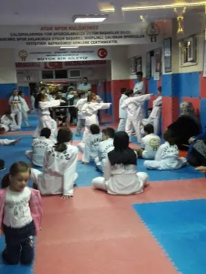 Atak 1993 Spor Kulübü - İstanbul Pendik