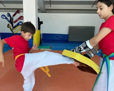 Bergama Erdal Önder Kapalı Spor Salonu görsel 3