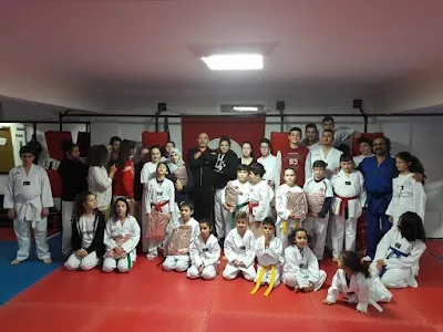 Beylikdüzü Turquoise Academy Sports Club - İstanbul Beylikdüzü