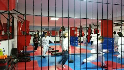 Beylikdüzü Turquoise Academy Sports Club - İstanbul Beylikdüzü