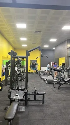 BHD Boxing görsel 2