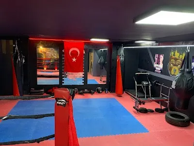 Bloody Wolf Kickboxing Studio - İstanbul Çekmeköy