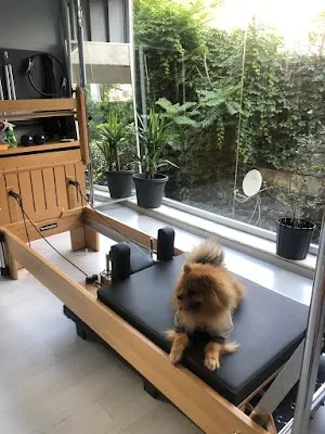 Body Arts Personal Training Studio - İstanbul Beşiktaş