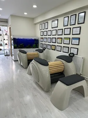 Bodymaps - İstanbul Pendik