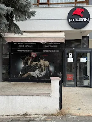 Braveheart Fight Academy - Ankara Çankaya