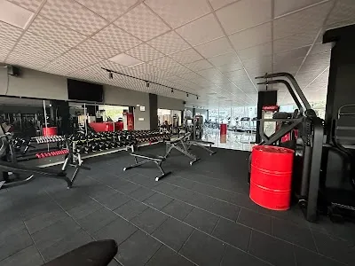 BunnyFit Muscle&Fitness - İzmir Buca