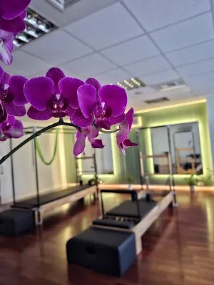 Burcu Yanardağ Pilates Studio - İstanbul Çekmeköy