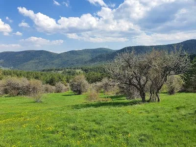 Camlidere Orman Isletme Mudurlugu - Ankara Çamlıdere