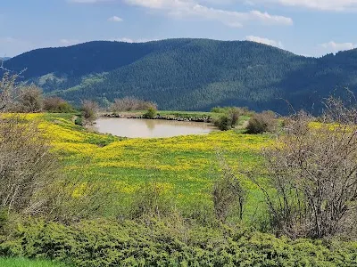 Camlidere Orman Isletme Mudurlugu görsel 2