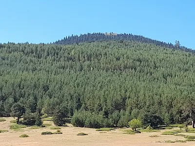 Camlidere Orman Isletme Mudurlugu görsel 3