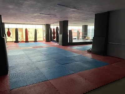 Çi Gym - Fitness & Fight Club - İstanbul Avcılar