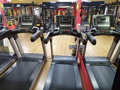 CLUBSPORTIVE - İstanbul Beşiktaş