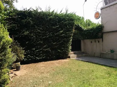 Darga Academy - İstanbul Beşiktaş