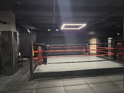 Defence & Athletics Kozyatağı - İstanbul Kadıköy