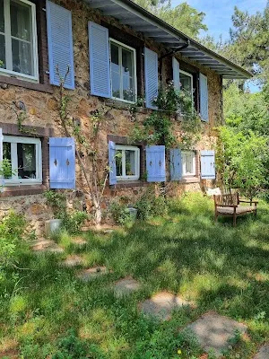 Detox by Elçin Oflaz - İstanbul Adalar