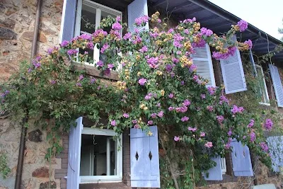 Detox by Elçin Oflaz görsel 2