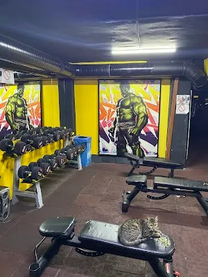 Esenler Afşar Spor Kulübü - İstanbul Bağcılar