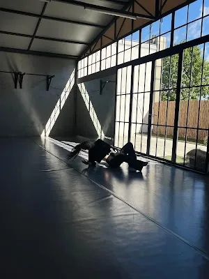 Ex Animo House Of Movement Arts & Sports görsel 2