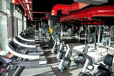 FERRUM GYM - İstanbul Beylikdüzü