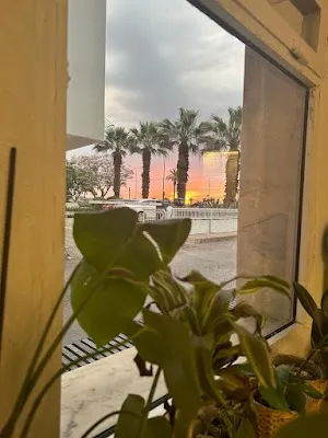 FİTİZM by yonca gül - İzmir Konak