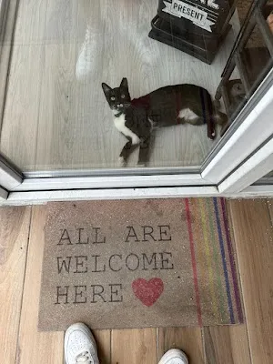 FİTİZM by yonca gül - İzmir Konak