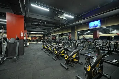 Fittown Fitness Center & Concept - İstanbul Pendik
