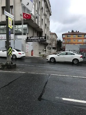 Flamingo GYM Bahçelievler - İstanbul Bahçelievler