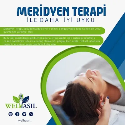 Fohow Welhasıl Meridyen Terapi Uygulama Merkezi - İstanbul Sultanbeyli