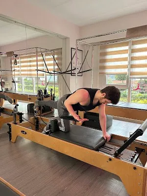 Galanthus pilates görsel 2