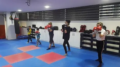 GELİŞİM AKADEMİ SPOR - İstanbul Çekmeköy