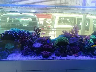 Genç Türk Sağlikli Yaşam ve Spor Merkezi - İzmir Bornova