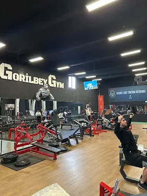 Gorilbey Gym Tunalı Esat - Ankara Çankaya