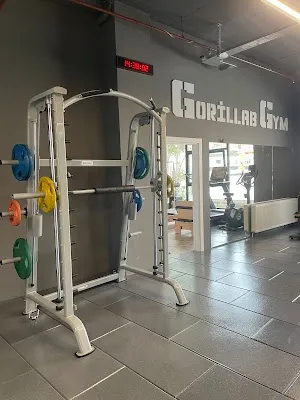 Gorillab Studio - İstanbul Maltepe