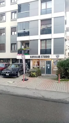 Gorillab Studio - İstanbul Maltepe