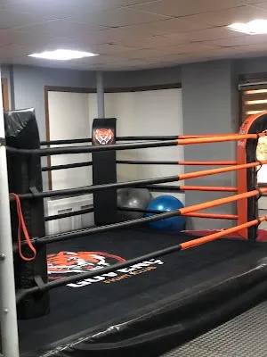 Güvenç fight Club - İstanbul Bakırköy