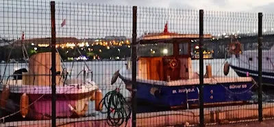 Haliç Kürek Spor Kulübü görsel 3