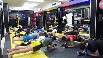 Halis Avşar Spor Kulübü - İstanbul Bakırköy