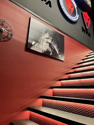 Hasan Uysal Boks Kulubü - İstanbul Beykoz