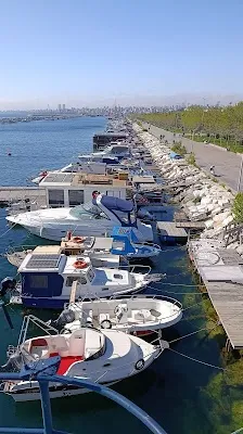 İstanbul Dragon Kürek Kulübü - İstanbul Maltepe