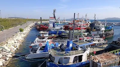 İstanbul Dragon Kürek Kulübü - İstanbul Maltepe